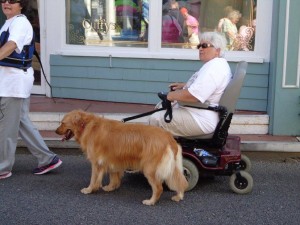 Provincetown is very dog-friendly