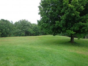 Oriskany Battlefield - one of the largest lost of life battles of over 300