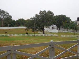 Graceland - stables and pasture located in back of the mansion. Elvis loved to ride.